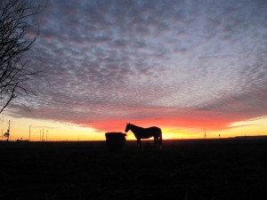 Winton sunset