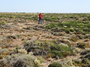 Nullarbor