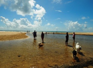 Doggie beach