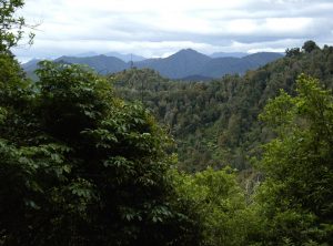 Aotearoa-Te-Urewera