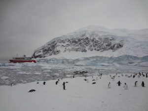 antarctica-penguins-icebergs